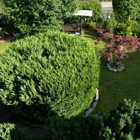 Gaestehaus Guter Stern Апартаменты *