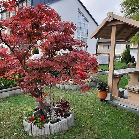 Gaestehaus Guter Stern 아파트 바트스테벤