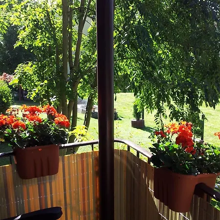 Апартаменты Gaestehaus Guter Stern