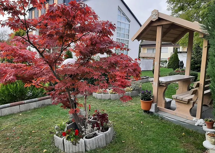 Gaestehaus Guter Stern 아파트 바트스테벤